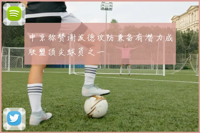申京称赞谢泼德攻防兼备有潜力成联盟顶尖球员之一